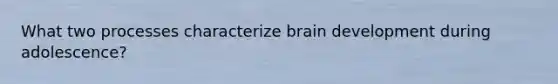 What two processes characterize brain development during adolescence?