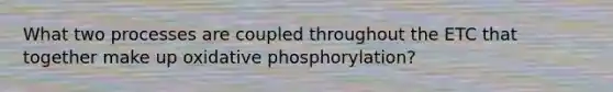 What two processes are coupled throughout the ETC that together make up <a href='https://www.questionai.com/knowledge/kFazUb9IwO-oxidative-phosphorylation' class='anchor-knowledge'>oxidative phosphorylation</a>?