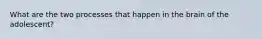 What are the two processes that happen in the brain of the adolescent?