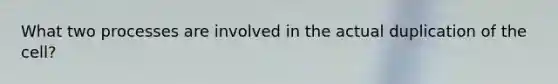 What two processes are involved in the actual duplication of the cell?