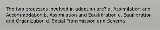 The two processes involved in adaption are? a. Assimilation and Accommodation b. Assimilation and Equilibration c. Equilibration and Organization d. Social Transmission and Schema