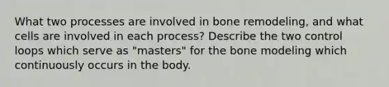 What two processes are involved in bone remodeling, and what cells are involved in each process? Describe the two control loops which serve as "masters" for the bone modeling which continuously occurs in the body.