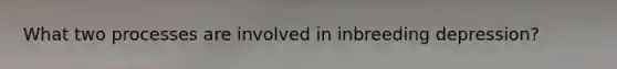 What two processes are involved in inbreeding depression?