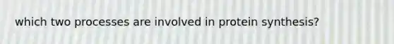 which two processes are involved in protein synthesis?
