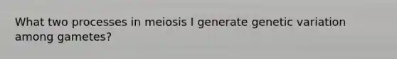 What two processes in meiosis I generate genetic variation among gametes?