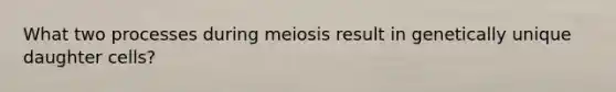 What two processes during meiosis result in genetically unique daughter cells?