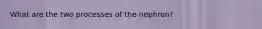 What are the two processes of the nephron?