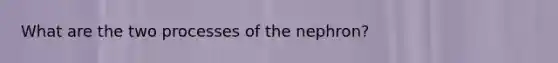 What are the two processes of the nephron?