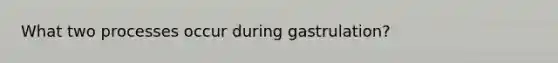 What two processes occur during gastrulation?