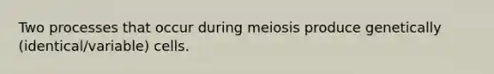 Two processes that occur during meiosis produce genetically (identical/variable) cells.