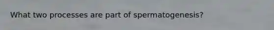 What two processes are part of spermatogenesis?