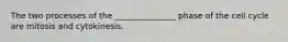 The two processes of the _______________ phase of the cell cycle are mitosis and cytokinesis.