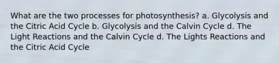 What are the two processes for photosynthesis? a. Glycolysis and the Citric Acid Cycle b. Glycolysis and the Calvin Cycle d. The Light Reactions and the Calvin Cycle d. The Lights Reactions and the Citric Acid Cycle