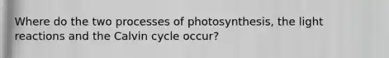 Where do the two processes of photosynthesis, the light reactions and the Calvin cycle occur?