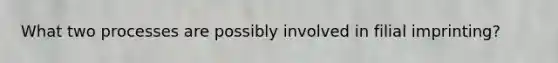 What two processes are possibly involved in filial imprinting?