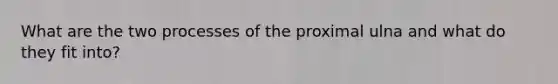 What are the two processes of the proximal ulna and what do they fit into?