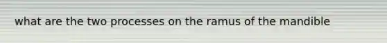 what are the two processes on the ramus of the mandible