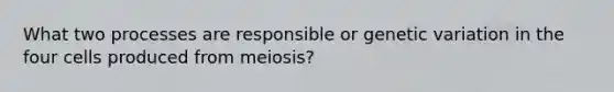 What two processes are responsible or genetic variation in the four cells produced from meiosis?