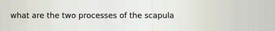 what are the two processes of the scapula