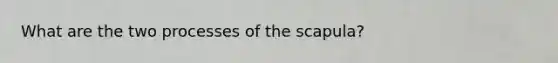 What are the two processes of the scapula?