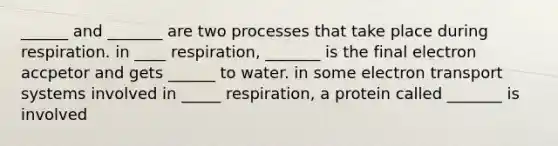 ______ and _______ are two processes that take place during respiration. in ____ respiration, _______ is the final electron accpetor and gets ______ to water. in some electron transport systems involved in _____ respiration, a protein called _______ is involved