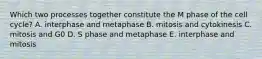 Which two processes together constitute the M phase of the cell cycle? A. interphase and metaphase B. mitosis and cytokinesis C. mitosis and G0 D. S phase and metaphase E. interphase and mitosis