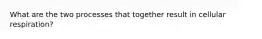 What are the two processes that together result in cellular respiration?