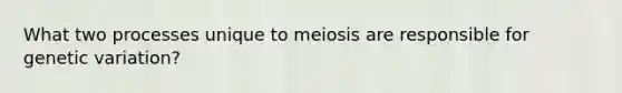 What two processes unique to meiosis are responsible for genetic variation?