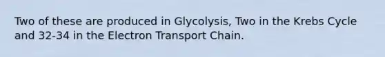 Two of these are produced in Glycolysis, Two in the <a href='https://www.questionai.com/knowledge/kqfW58SNl2-krebs-cycle' class='anchor-knowledge'>krebs cycle</a> and 32-34 in <a href='https://www.questionai.com/knowledge/k57oGBr0HP-the-electron-transport-chain' class='anchor-knowledge'>the electron transport chain</a>.