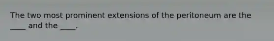 The two most prominent extensions of the peritoneum are the ____ and the ____.