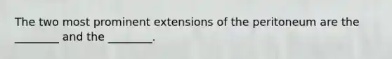 The two most prominent extensions of the peritoneum are the ________ and the ________.