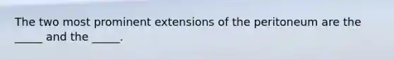 The two most prominent extensions of the peritoneum are the _____ and the _____.