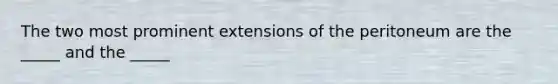 The two most prominent extensions of the peritoneum are the _____ and the _____