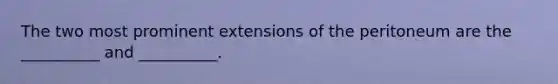 The two most prominent extensions of the peritoneum are the __________ and __________.