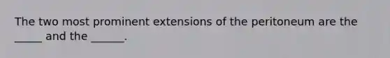 The two most prominent extensions of the peritoneum are the _____ and the ______.