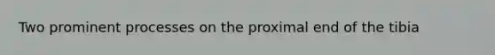 Two prominent processes on the proximal end of the tibia