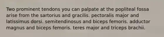 Two prominent tendons you can palpate at the popliteal fossa arise from the sartorius and gracilis. pectoralis major and latissimus dorsi. semitendinosus and biceps femoris. adductor magnus and biceps femoris. teres major and triceps brachii.