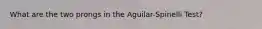 What are the two prongs in the Aguilar-Spinelli Test?