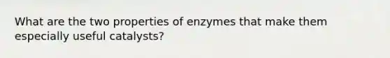 What are the two properties of enzymes that make them especially useful catalysts?