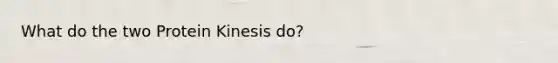 What do the two Protein Kinesis do?