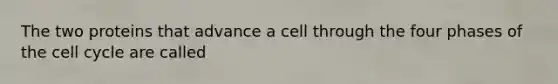 The two proteins that advance a cell through the four phases of the cell cycle are called