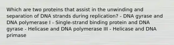 Which are two proteins that assist in the unwinding and separation of DNA strands during replication? - DNA gyrase and DNA polymerase I - Single-strand binding protein and DNA gyrase - Helicase and DNA polymerase III - Helicase and DNA primase