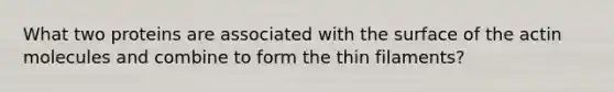 What two proteins are associated with the surface of the actin molecules and combine to form the thin filaments?