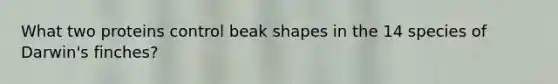 What two proteins control beak shapes in the 14 species of Darwin's finches?