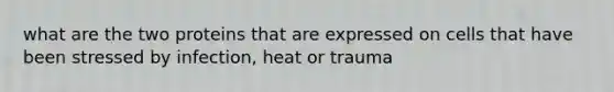 what are the two proteins that are expressed on cells that have been stressed by infection, heat or trauma