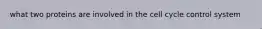 what two proteins are involved in the cell cycle control system