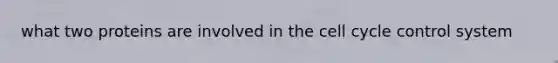 what two proteins are involved in the cell cycle control system