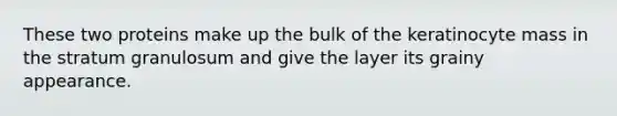 These two proteins make up the bulk of the keratinocyte mass in the stratum granulosum and give the layer its grainy appearance.