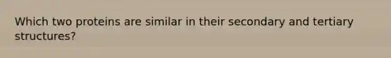 Which two proteins are similar in their secondary and tertiary structures?