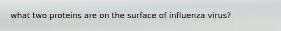 what two proteins are on the surface of influenza virus?